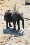 namibie1237