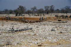 namibie1245