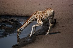namibie1247