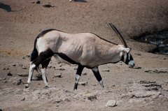 namibie1248