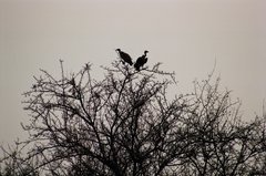 namibie1251