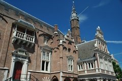 nederland0812