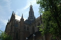 nederland0815