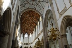nederland0828