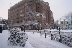 nederland0928