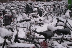 nederland0931