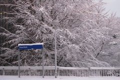 nederland0932