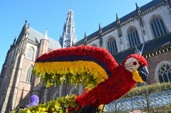 nederland0968