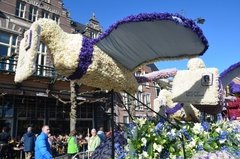 nederland0969