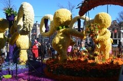 nederland0974