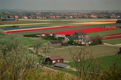 nederland1502