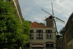 nederland3427