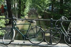 nederland4040