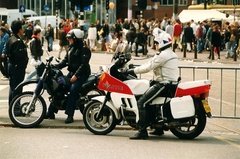 nederland6007