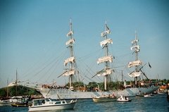nederland7711
