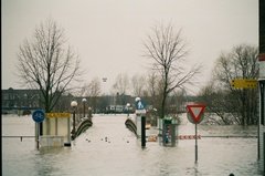 nederland8009