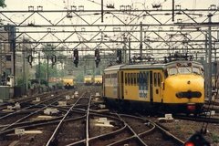 nederland8023