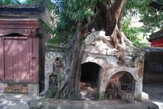 nepal1067