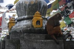 nepal2027