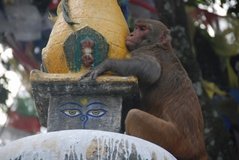 nepal2028