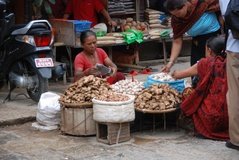 nepal3120