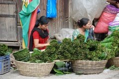 nepal3122