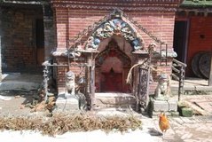 nepal3507