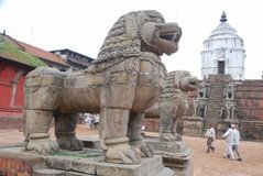 nepal3554