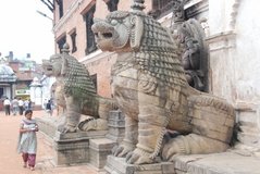 nepal3555
