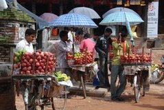nepal3580