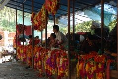 nepal6001
