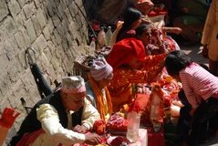 nepal6022