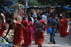 nepal6031