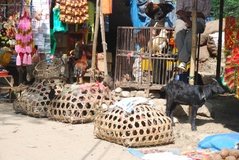 nepal6034