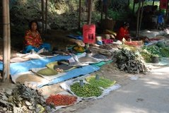 nepal6035
