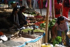 nepal6036