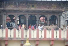 nepal6524