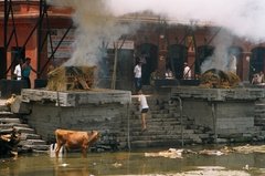 nepal6527