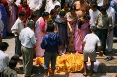 nepal6531