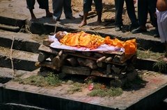 nepal6533