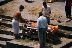 nepal6535