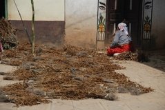 nepal7014