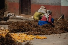 nepal7015