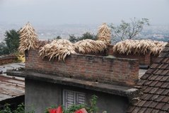 nepal7024