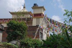 nepal7025
