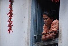 nepal7037