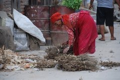 nepal7046