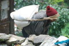 nepal7263
