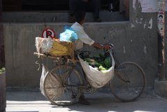 nepal9281
