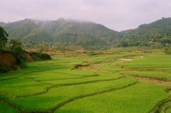 nepal9327